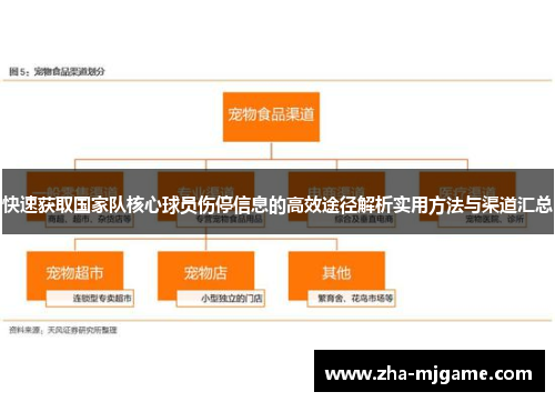 快速获取国家队核心球员伤停信息的高效途径解析实用方法与渠道汇总